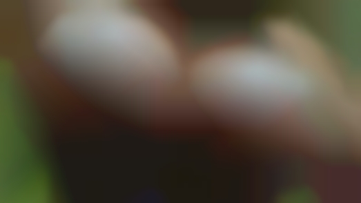 Memphis adult hookup